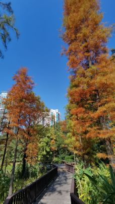 珠江公园-广州-超级动感小鳗鱼