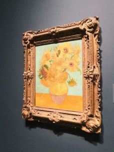 费城艺术博物馆-费城-西行阿里