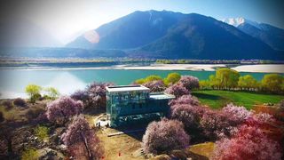 《妻子的浪漫旅行》林芝站打卡
