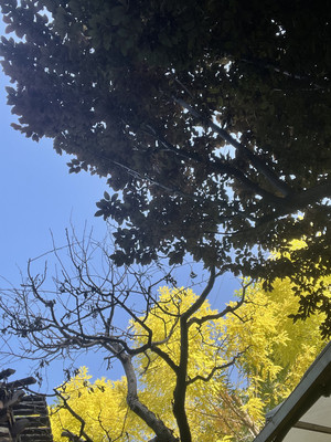 暑假的最后一个周末去哪儿