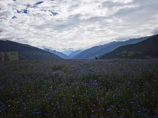 双沟子游玩宿于云海之巅-四姑娘山天空之城