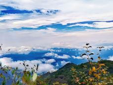 大围山国家森林公园-浏阳-gz伊妹儿