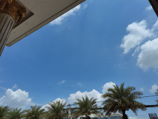 长隆野生动物园的一日游