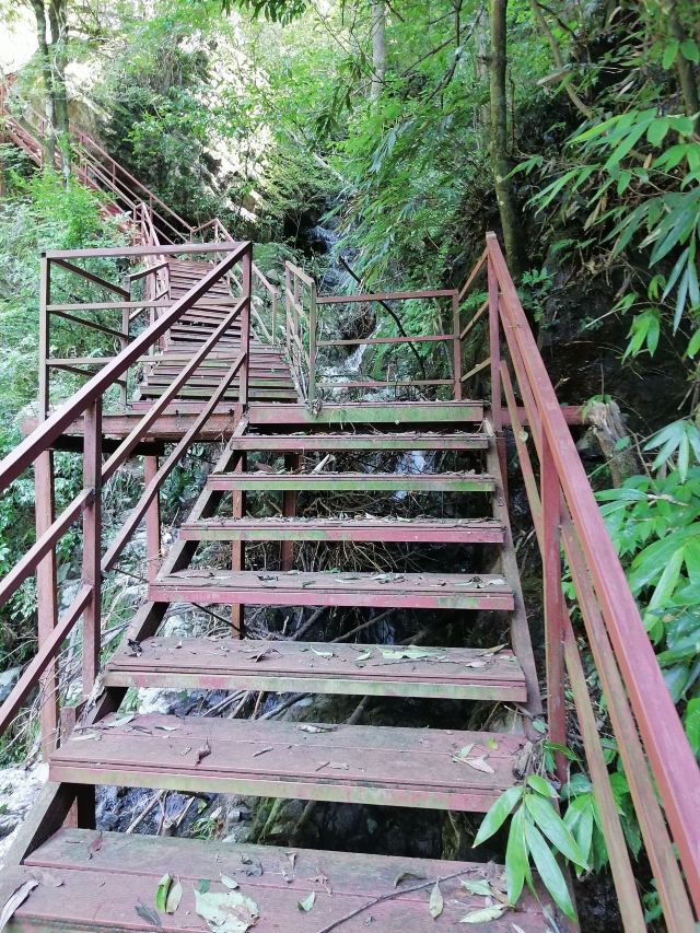 屏山悬索玻璃桥旅行图片 3