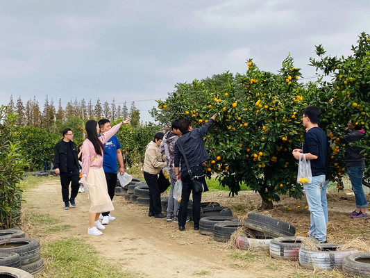 上海橘子采摘+骑行+团建攻略 来乐活营地