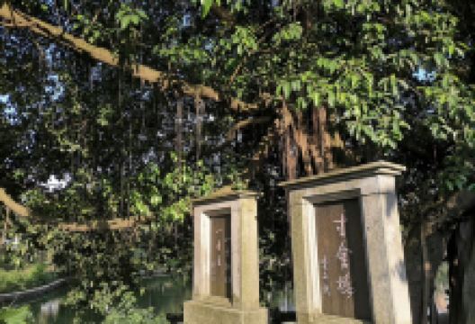 寸金桥景点图片