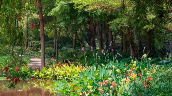 鎮江植物園