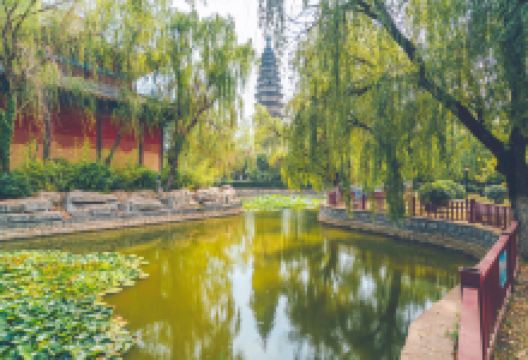 万佛塔公园景点图片