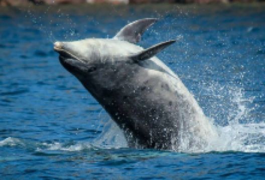 EcoVentures景点图片