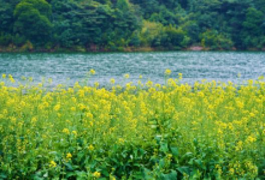 石门国家森林公园景点图片
