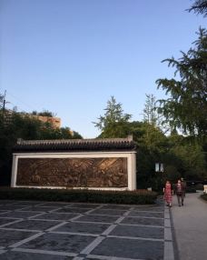 梅园公园-上海-YoYo_7A1J6A1I