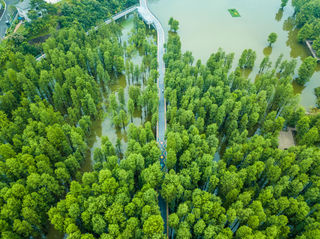 码上游临安,48小时打卡离杭州最近的避暑胜地