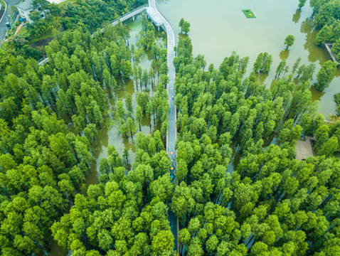 码上游临安,48小时打卡离杭州最近的避暑胜地