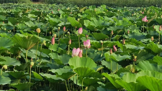 大名森林生態園