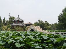 古莲花池-保定-joanna1230