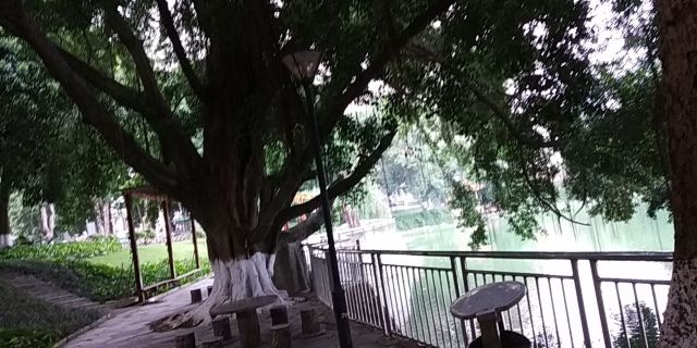 百色人民公园旅行图片 7