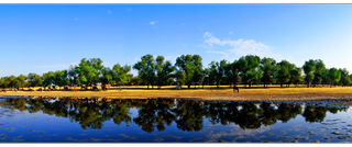 相约十一，发现白城不一样的美~！