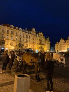 布拉格老城广场-布拉格-翱翔的大鲨鱼