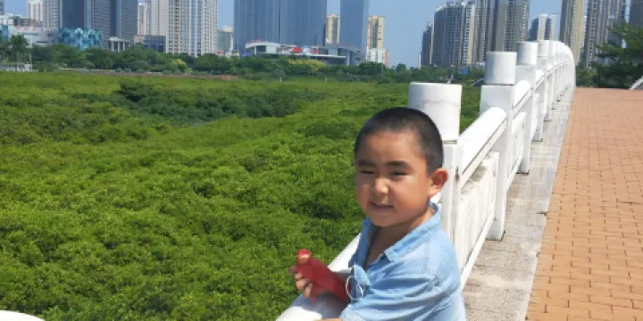 北部灣海洋文化公園