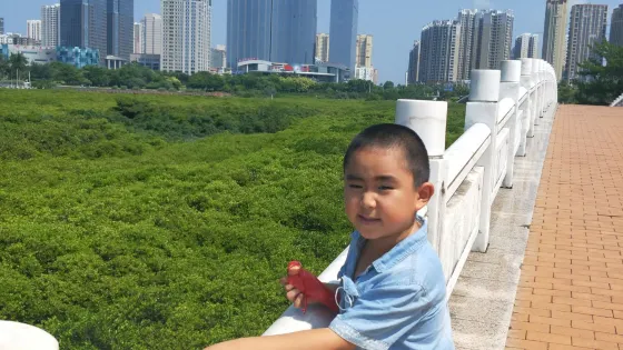 北部灣海洋文化公園