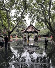 襄阳公园-上海-周游世界I