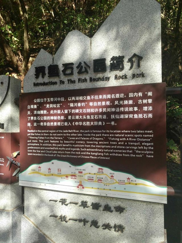 界鱼石公园旅行图片 4