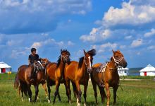 室韦城区旅游图片-6日呼伦贝尔+陈巴尔虎旗+额尔古纳+满洲里