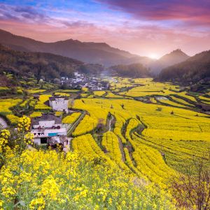 Wuyuan