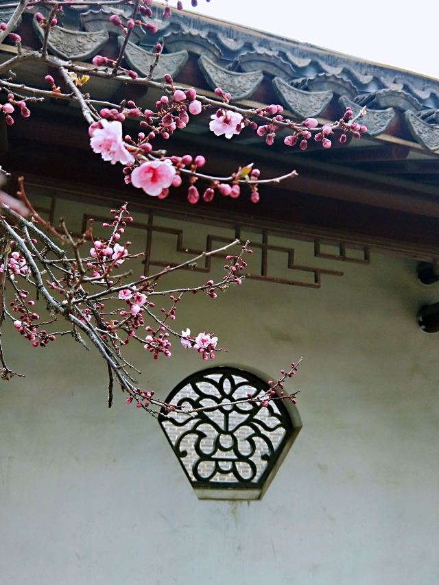 宣化人民公园旅行图片 7