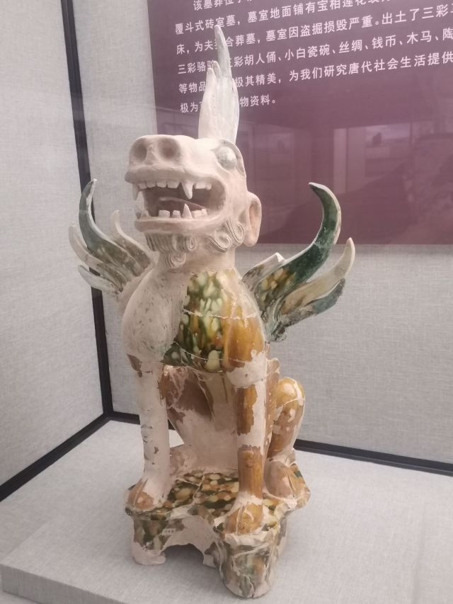 瓜州县文物保护与利用中心旅行图片 9
