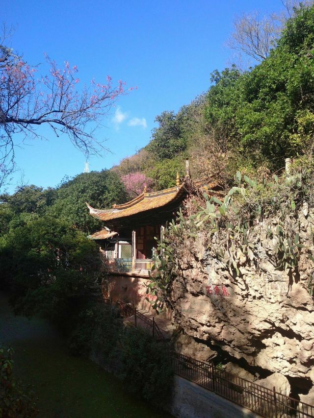 界鱼石公园旅行图片 1