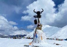 色季拉山-林芝-轻轻的一个蚊