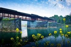 彩虹桥-婺源-熊新峰