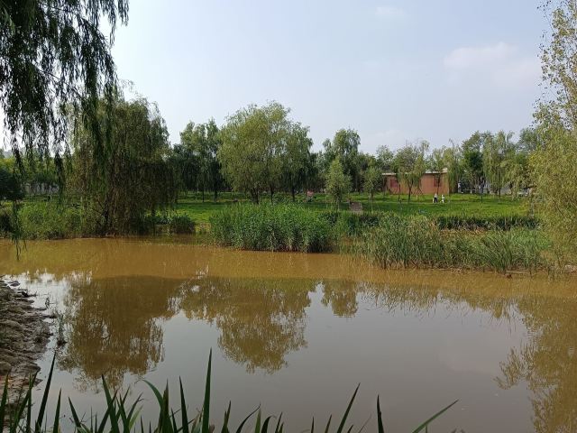 长安城市公园(樊川公园)旅行图片 3