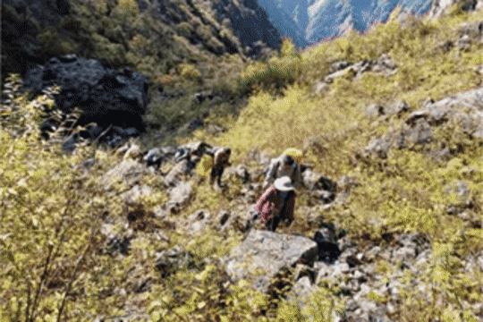 7天，168小时！他们不惧风雪，探寻古遗址...