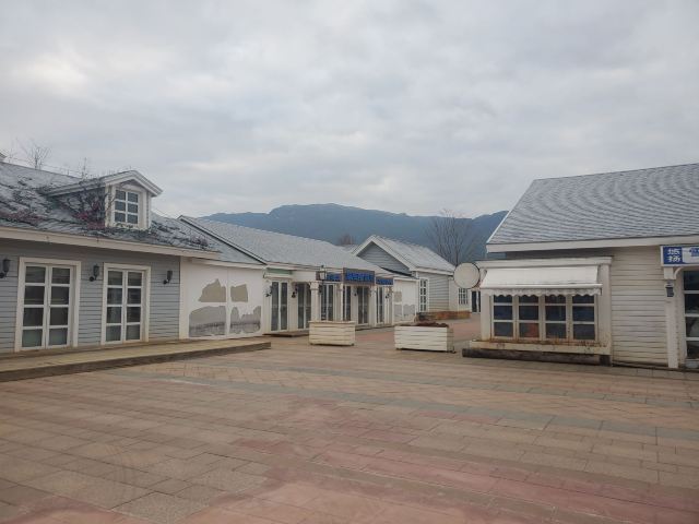 雪山花海乐园旅行图片 2