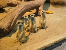 苏州海洋馆-苏州-C-IMAGE