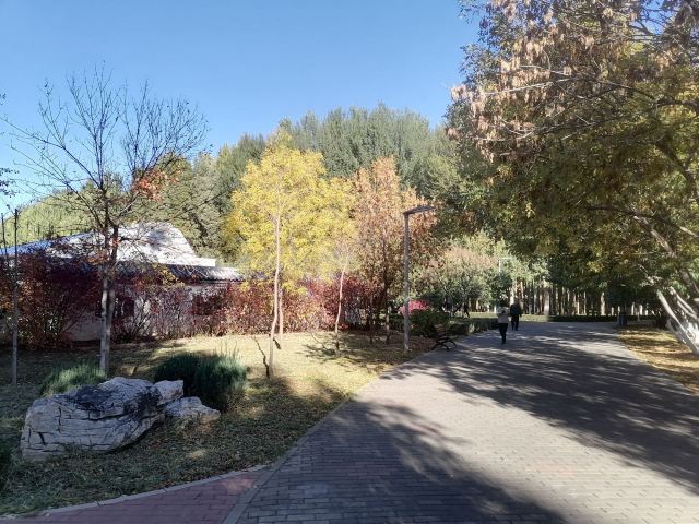 翠湖公园旅行图片 3