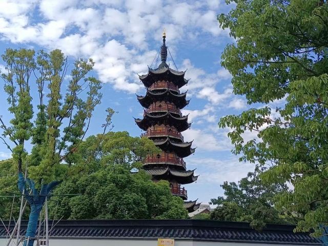龙华塔旅行图片 1