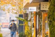 大学路景点图片