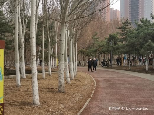 黎明公园