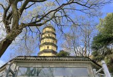 宝塔山森林公园景点图片