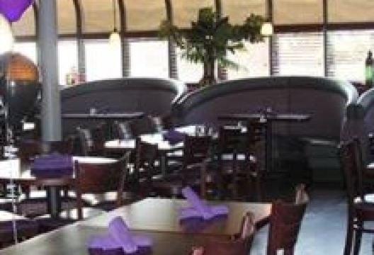 Ansari's Mediterranean Grill & Lounge美食图片