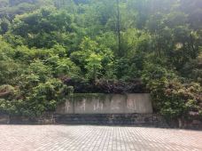 翠屏山公园-重庆-M43****6848