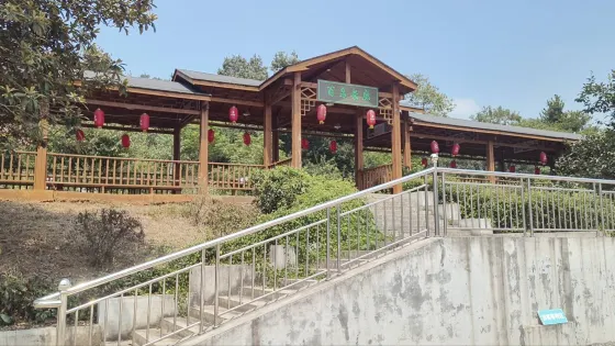 京山茶花源
