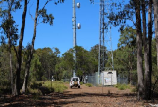 Indwarra National Park景点图片