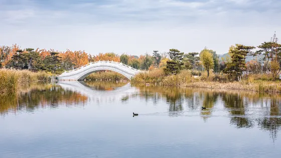 漳澤湖國家城市濕地公園