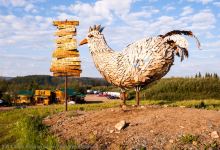 Chicken Gold Camp & Outpost景点图片