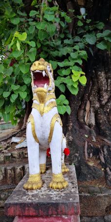 树包塔-芒市-icqpup