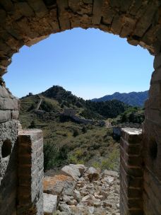 乌龙沟长城-涞源-大松树叶子